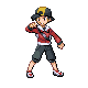 Dresseur du jeu PokExp